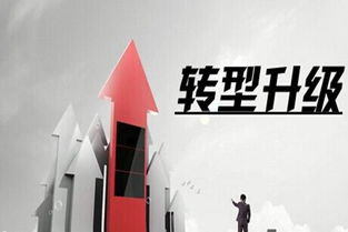 家電行業(yè)兩極分化加劇 互聯(lián)網(wǎng)服務(wù)成轉(zhuǎn)型關(guān)鍵
